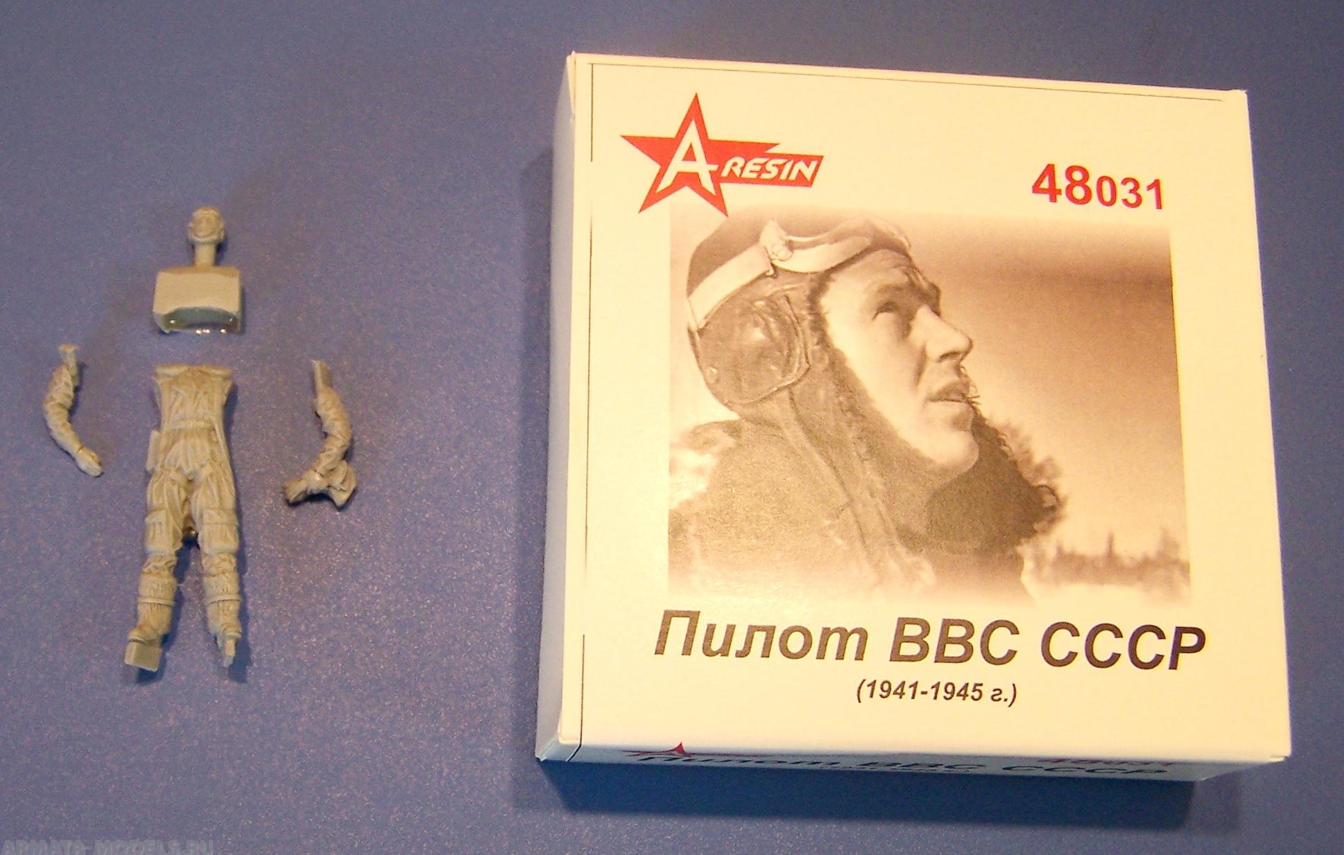 48031AR Пилот ВВС СССР (1941-45гг) А-Резин